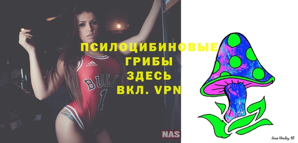 ешки Касимов