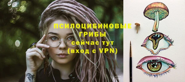 прущие крисы Карпинск